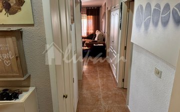 Property slide 13