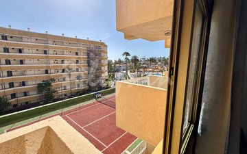 Property slide 31