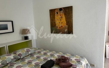 Property slide 31