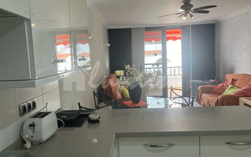 Property slide 17
