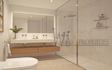 Property slide 13