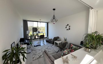 Property slide 11