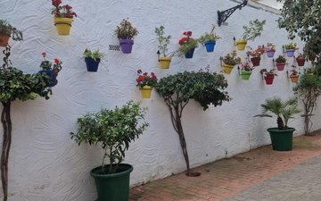 Property slide 17