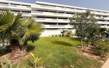 Property slide 35