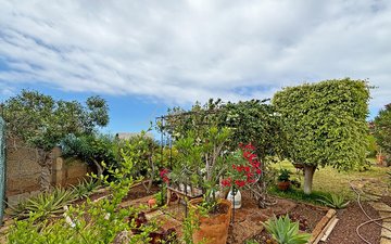 Property slide 35