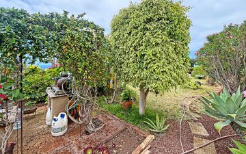 Property slide 34