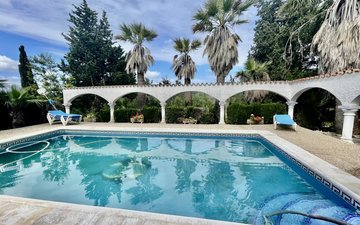 Property slide 43