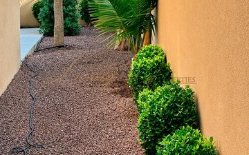 Property slide 35