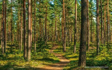 Slajd nieruchomości 9