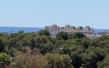 Property slide 30