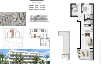 Property slide 13