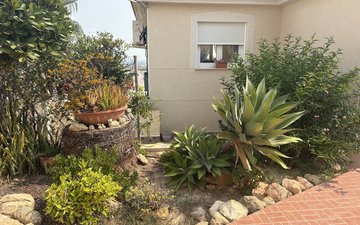 Property slide 11