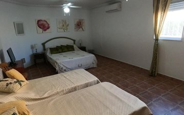 Property slide 35