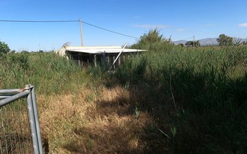 Property slide 42