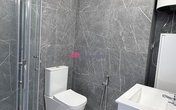Property slide 13