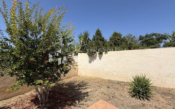 Property slide 24