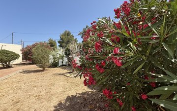 Property slide 26