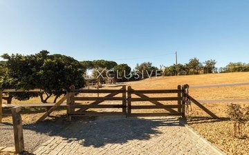 Property slide 41