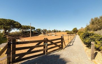 Property slide 36