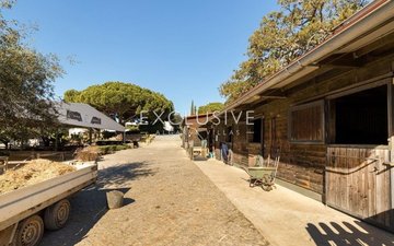Property slide 34
