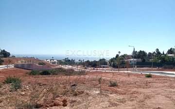 Property slide 13