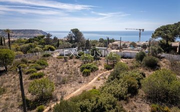 Property slide 29