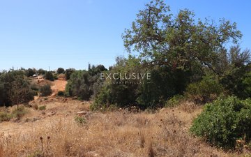 Property slide 17