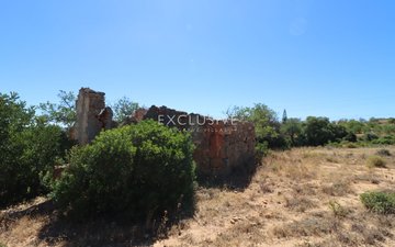 Property slide 19