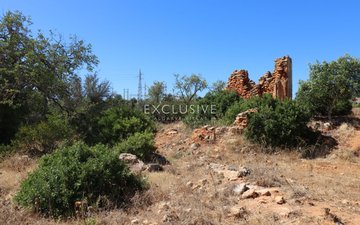 Property slide 31