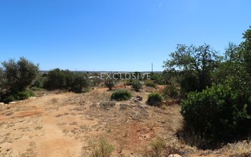 Property slide 21