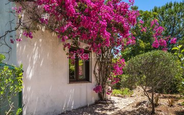 Property slide 26