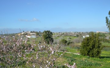 Property slide 30