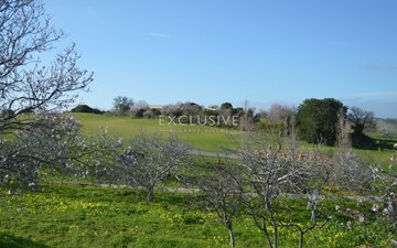 Property slide 29