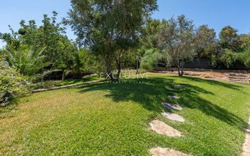 Property slide 43
