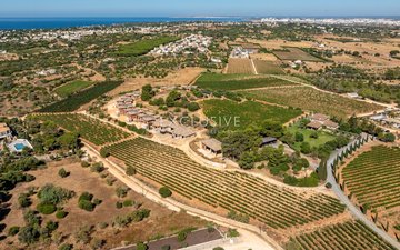 Property slide 38