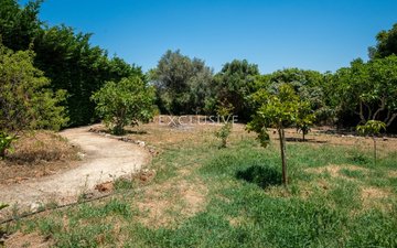 Property slide 33