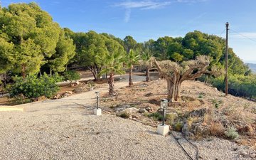 Property slide 26