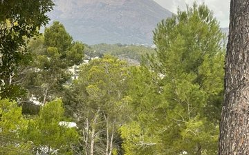 Property slide 24