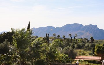 Property slide 45