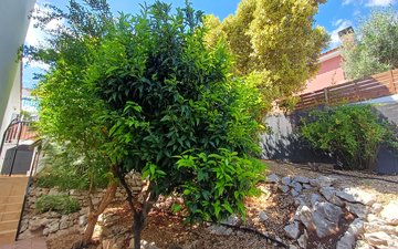 Property slide 27