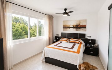 Property slide 13
