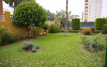 Property slide 37