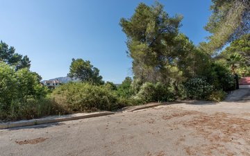 Property slide 15