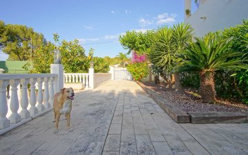 Property slide 35