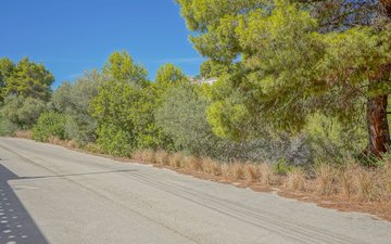 Property slide 19