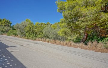 Property slide 21