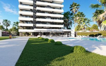 Property slide 12
