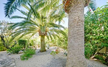 Property slide 25