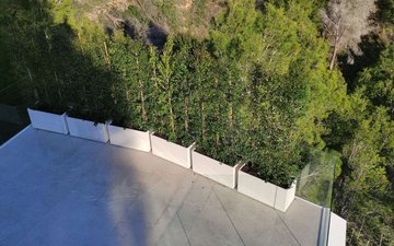 Property slide 49