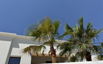 Property slide 36